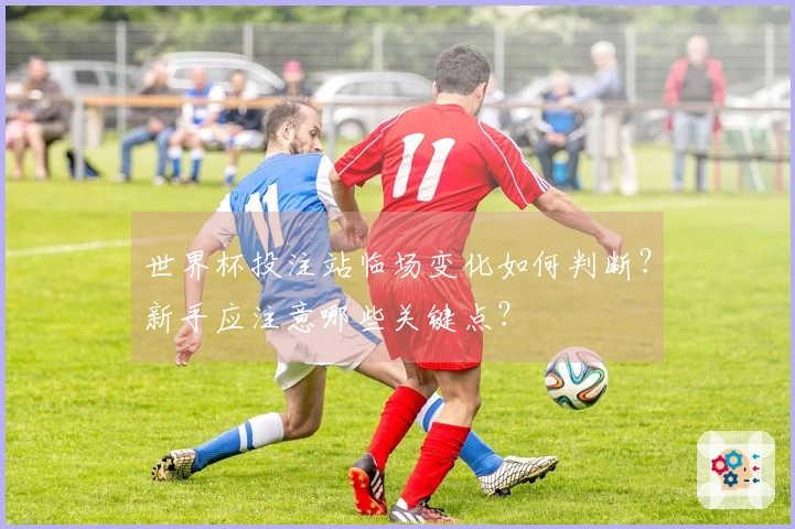世界杯投注站临场变化如何判断？新手应注意哪些关键点？