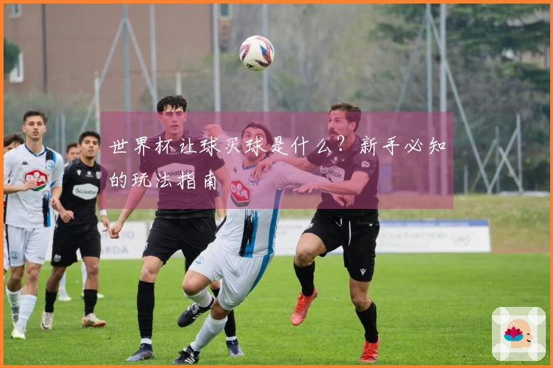 世界杯让球买球是什么？新手必知的玩法指南