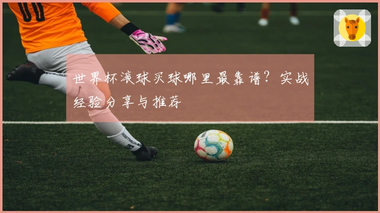 世界杯滚球买球哪里最靠谱？实战经验分享与推荐
