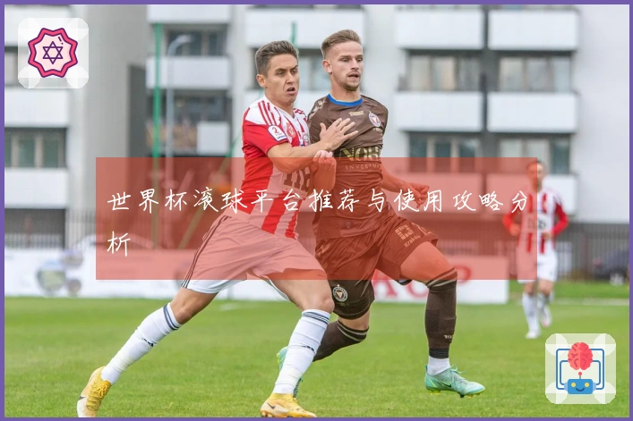 世界杯滚球平台推荐与使用攻略分析