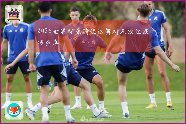 2026世界杯竞猜玩法解析及投注技巧分享