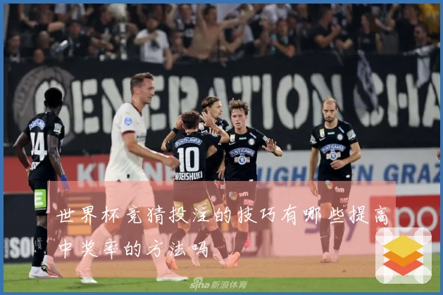 世界杯竞猜投注的技巧有哪些提高中奖率的方法吗