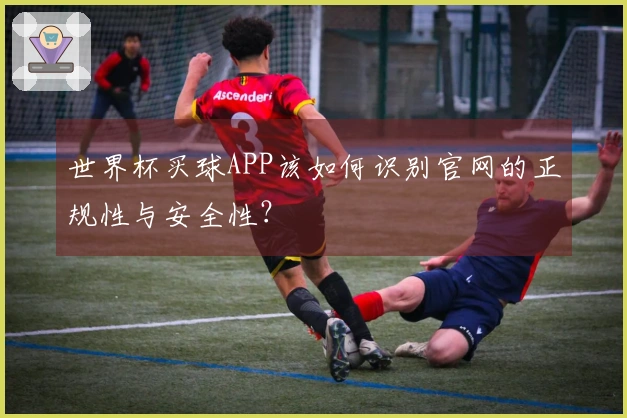 世界杯买球APP该如何识别官网的正规性与安全性？