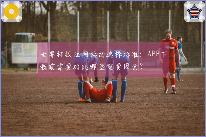 世界杯投注网站的选择标准：APP下载前需要对比哪些重要因素？
