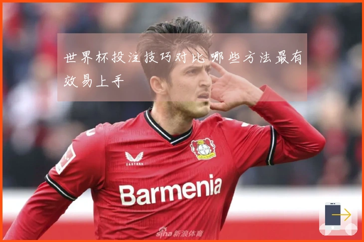 世界杯投注技巧对比 哪些方法最有效易上手