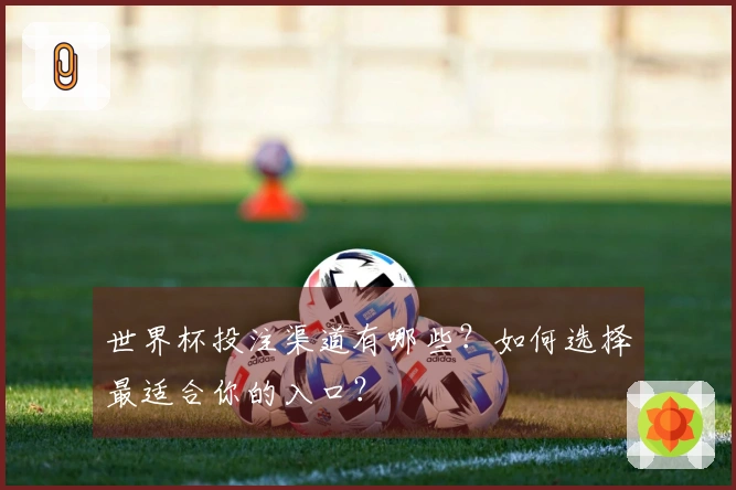 世界杯投注渠道有哪些？如何选择最适合你的入口？