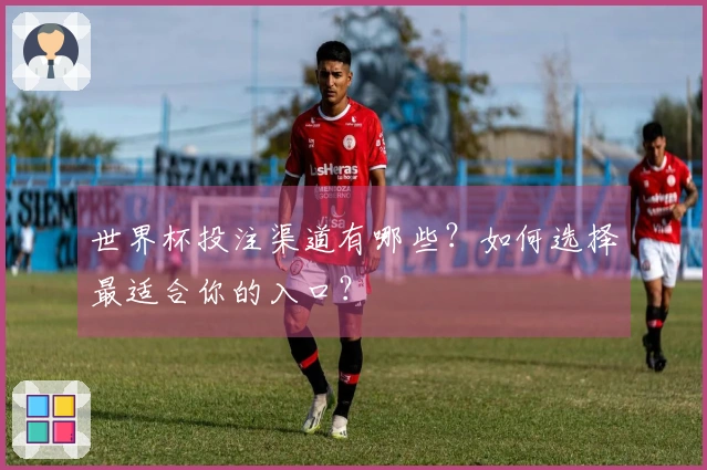 世界杯投注渠道有哪些？如何选择最适合你的入口？