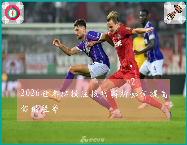 2026世界杯投注技巧解析如何提高你的胜率