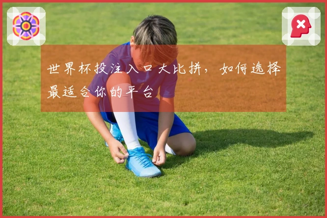世界杯投注入口大比拼，如何选择最适合你的平台