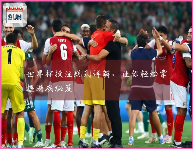 世界杯投注规则详解，让你轻松掌握游戏秘笈